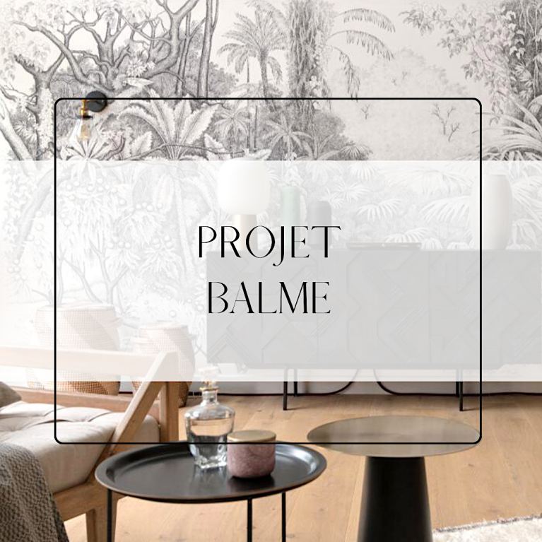 Projet Balme