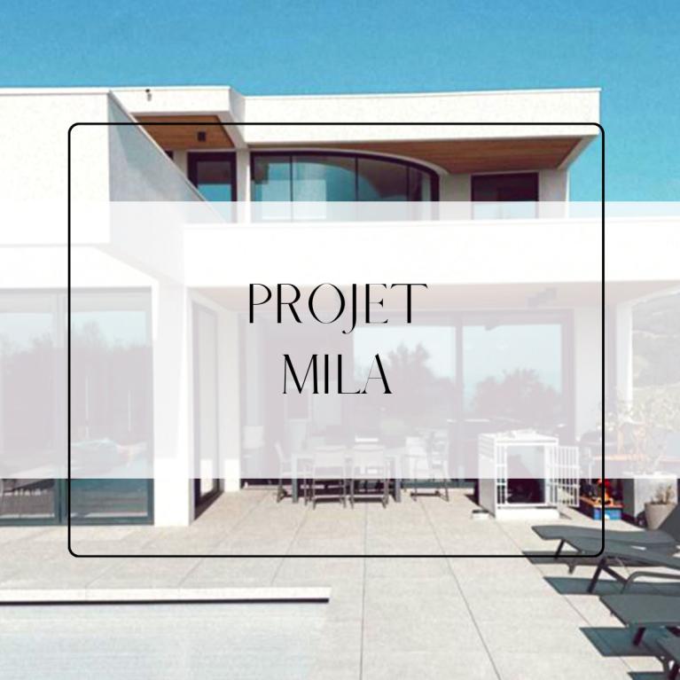 Projet Mila